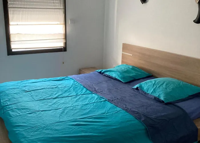 Apartman Superbe 2 Pieces 55 M2 Les Pins